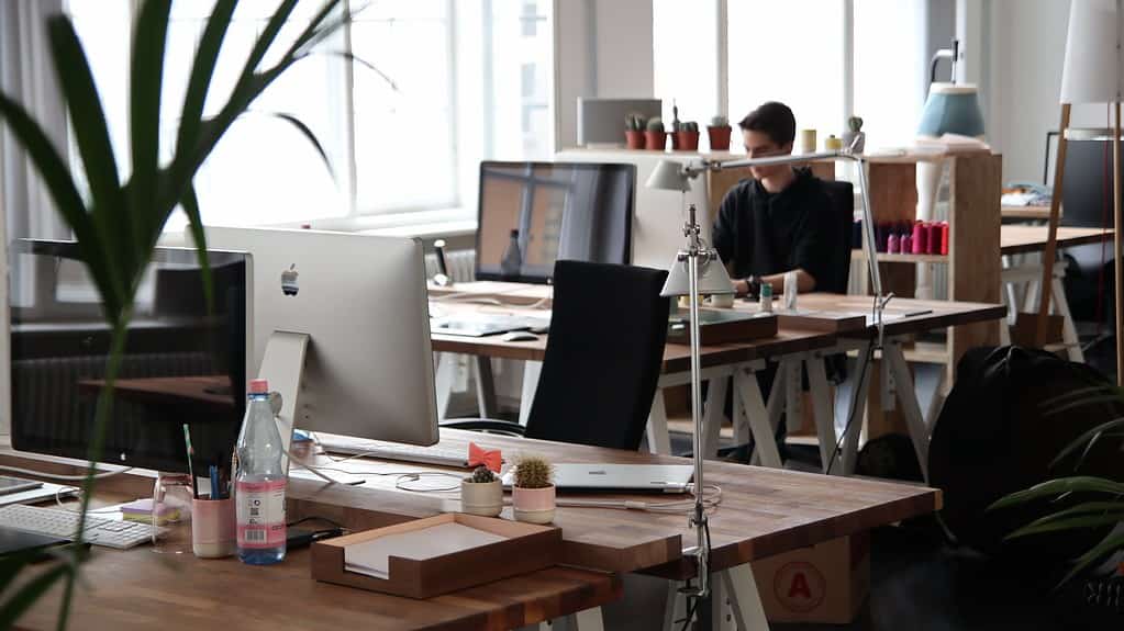 Modern office interior with designer furniture and clean aesthetic