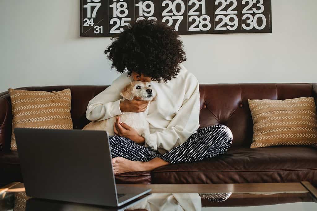 Creative professional working remotely on laptop from home sofa with pet dog companion
