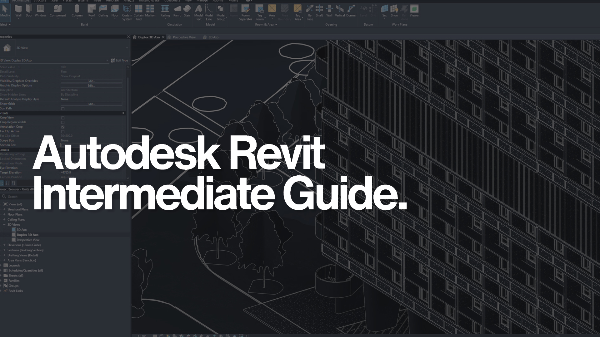 Autodesk Revit Intermediate Guide.