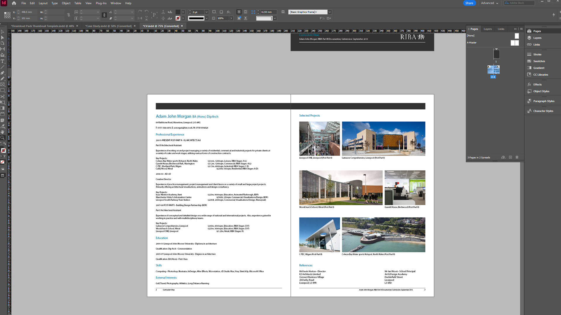 RIBA Part 3 Study Tool Kit preview 4